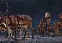 Семейный уик-энд с путешествием на оленью ферму и катаниями в упряжках