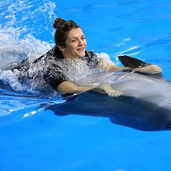 Свободное плавание с дельфинами (выходные)