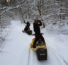 Катание на снегоходе СТАРТ (до 100кг.; 90 мин.)