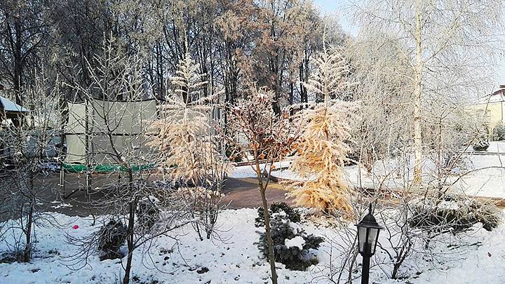 Загородный отдых в кругу родных и близких