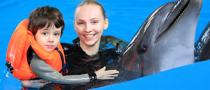 Свободное плавание с дельфинами 