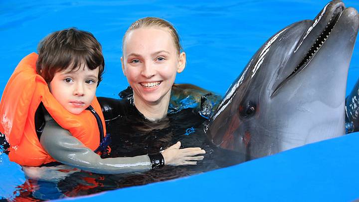 Свободное плавание с дельфинами 