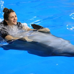 Свободное плавание с дельфинами (будни)