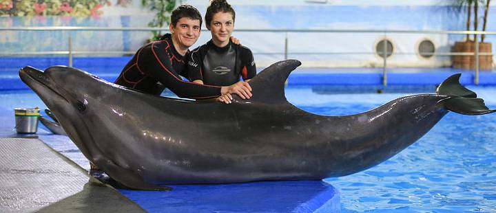 Романтическое свидание в Ярославском дельфинарии