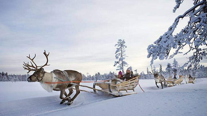Семейный уик-энд с путешествием на оленью ферму и катаниями в упряжках