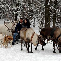 ferma para furpur