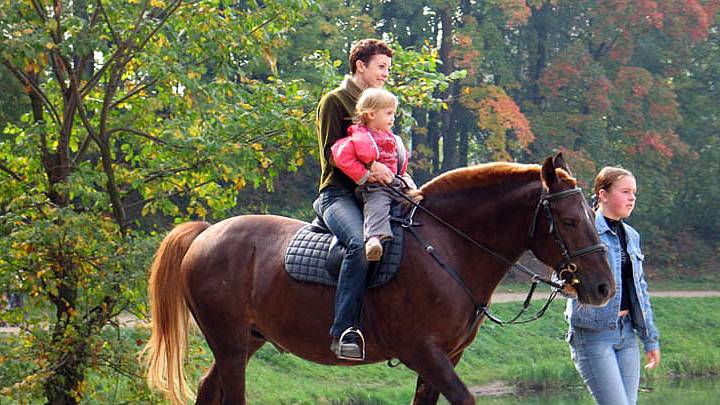 Отдых на конной ферме - прогулки на свежем воздухе!