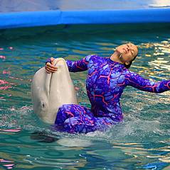 Отдых в дельфинарии в Ярославле