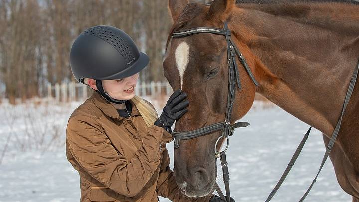 Прогулки, походы и занятия на лошадях в Москве 