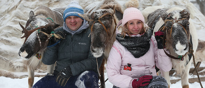 Экскурсия к северным оленям и ездовым собакам хаски — веселое приключение для всей семьи!