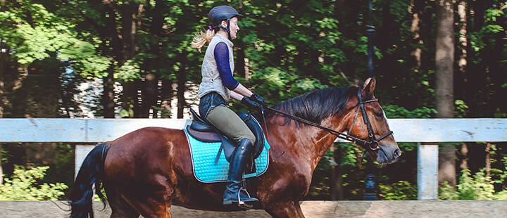 Обучение верховой езде и конный фитнес